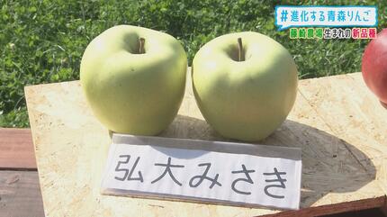 見つけたらラッキー！新品種＆期待のリンゴ 見た目も味も個性豊かな