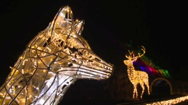 関西最大級のイルミネーションイベント「フェスタ・ルーチェ」 16日からえひめこどもの城で開催 来年1月26日まで|TBS NEWS DIG