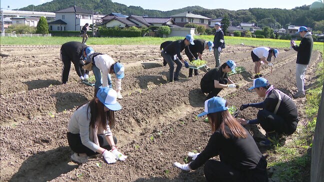 「リフレッシュになった」会社員らがキャベツの苗植え　企業研修や福利厚生に農業体験を　増加する”遊休農地”活用の実証実験福岡市|TBS NEWS DIG