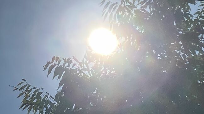 【関東甲信】気温の高い状態は更に１か月程度、少雨の状態はこの先２週間程度は続く見込み　降水量平年比で館山35%、横浜40％、前橋48％、東京57％【雨と風のシミュレーション　23日（土）午後9時まで】|TBS NEWS DIG