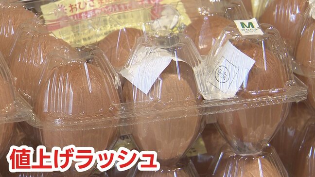 【物価高】「値上げラッシュ」で2万品目が値上げ？専門家に聞いた「買い物のコツ」と「狙い目商品」|TBS NEWS DIG