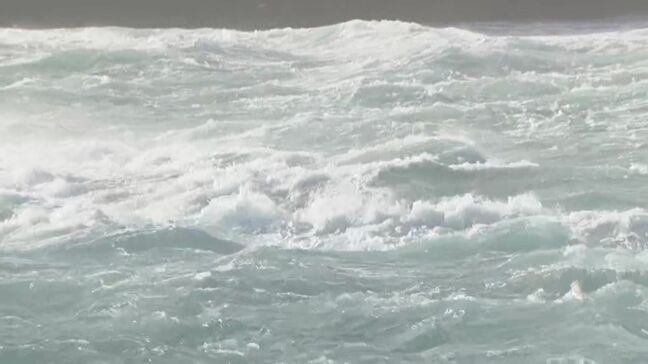 台風で交通乱れ 空の便は40便以上 海の便 奄美・沖縄航路はすべて欠航 鹿児島|TBS NEWS DIG