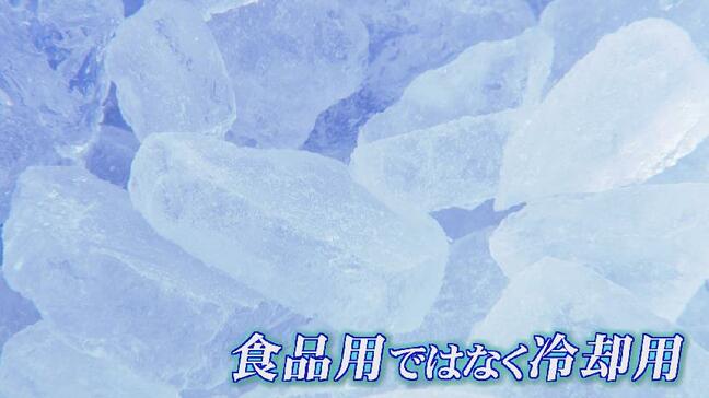 「頭からかぶってキンキンに」猛暑で卸売市場にある氷の自動販売機が人気 多い日には一日に12トンも |TBS NEWS DIG