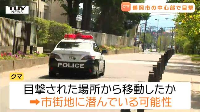 近くでふんと思われる物も...鶴岡市の中心部でクマ目撃　現在も市街地に潜んでいる可能性（山形）|TBS NEWS DIG