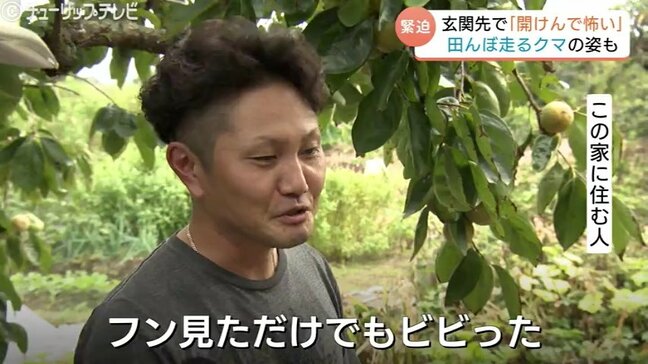 「フン見ただけでビビった」クマの痕跡情報が続出　市街地の田んぼを疾走、住民に広がる不安　富山|TBS NEWS DIG