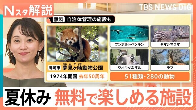 テーマパーク料金高騰の裏で…人気を集める“お財布いらず”の遊び場 「工場見学」「自衛隊トラック体験試乗」なども【Nスタ解説】|TBS NEWS DIG