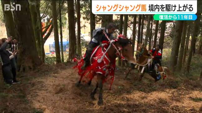 復活から11年　豊作願う伝統行事『シャングシャング馬』元ジョッキーにも大声援　新潟・胎内市|TBS NEWS DIG