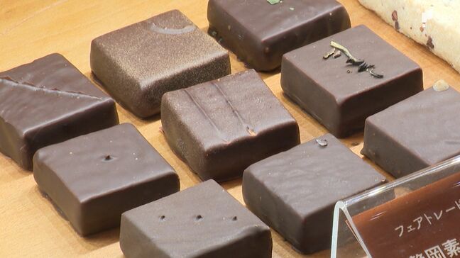 「他の食品にはない魅力が詰まっている」バレンタインデーに考える『チョコレート』のこと 静岡市の専門店が講座開催 子どもたちが原料のカカオに触れる|TBS NEWS DIG