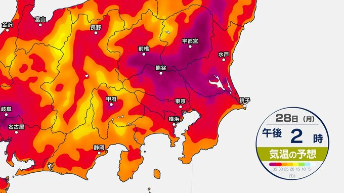 【東京など関東地方】万全な熱中症対策を！ギラギラ日差しで、今年6日目の猛暑日の予想【今後の気温予想シミュレーション】東京・神奈川・埼玉・千葉・群馬・栃木・茨城の天気|TBS NEWS DIG
