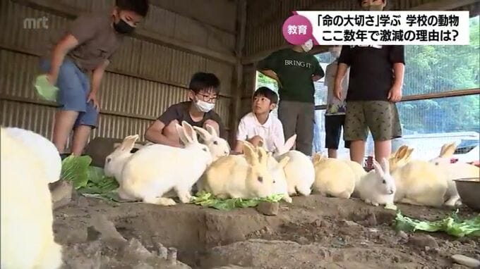 教職員の負担も原因　ここ数年で激減　「命の大切さ」学ぶ 学校の動物飼育　　|　MRTニュース ｜ ＭＲＴ宮崎放送