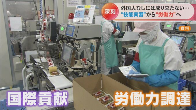 ホンネは出稼ぎ感覚？技能実習生受け入れの現場で聞いた 今や約33万人が“労働力”に ミニトマト栽培学ぶ外国人女性は「服の店を開きたい」　|　名古屋・愛知・岐阜・三重のニュース【CBC news】 | CBC web