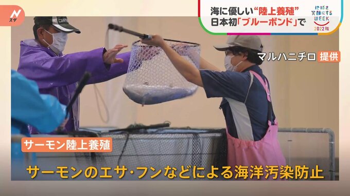 海に優しいサーモンの“陸上養殖”　マルハニチロが 日本初の「ブルーボンド」で実施|TBS NEWS DIG
