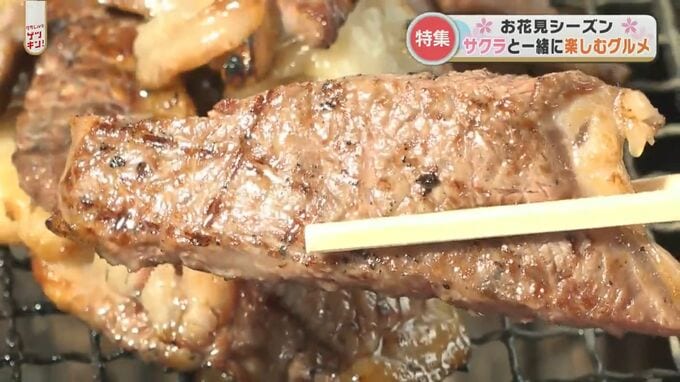 お花見が更に楽しくなる！懐石やスイーツ、BBQなどサクラと一緒に楽しむグルメ　|　熊本のニュース｜RKK NEWS｜RKK熊本放送