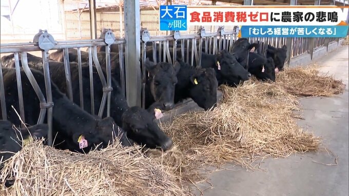 “食品消費税ゼロ”に農家が悲鳴 ｢むしろ経営が苦しくなる｣ なぜ？自民党のキーマンを直撃すると…|TBS NEWS DIG