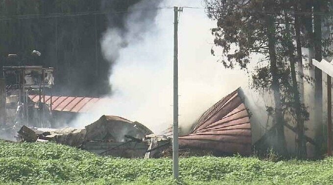【速報】牛舎を焼く火事　隣接の住宅や雑木林にも延焼で消火活動続く　宮城・色麻町　|　宮城のニュース│tbc NEWS│tbc東北放送
