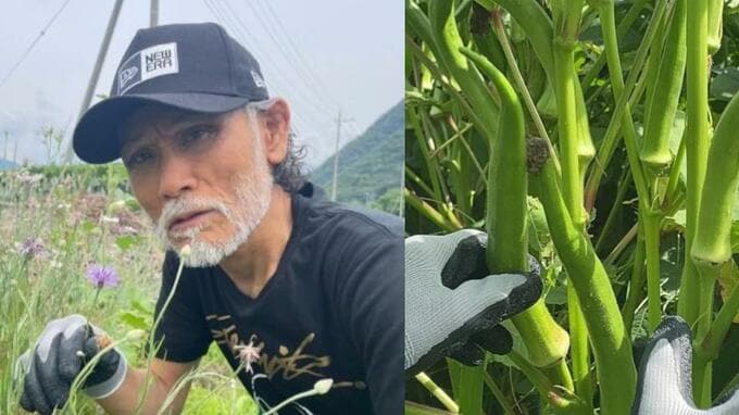 【片岡鶴太郎】巨大オクラを収穫「自然の恵みと、植物の生命力を感じる」山梨の畑で|TBS NEWS DIG