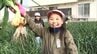 延岡市特産「空飛ぶ新玉ネギ」　地元の小学生が収穫体験　|　MRTニュース ｜ ＭＲＴ宮崎放送