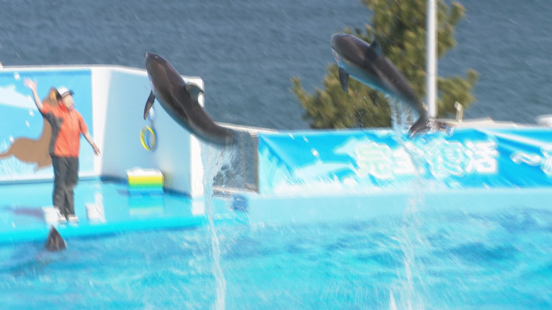 石川・七尾市の「のとじま水族館」が全面再開 地震乗り越え約1年3か月