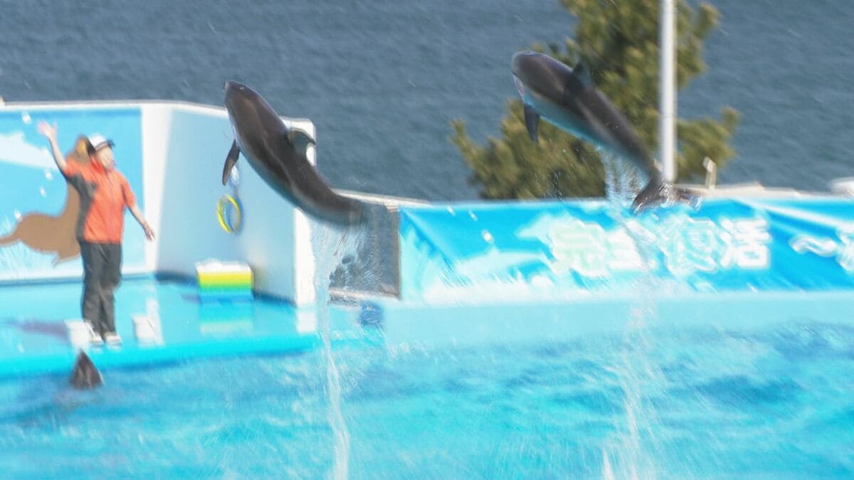 石川・七尾市の「のとじま水族館」が全面再開 地震乗り越え約1年3か月