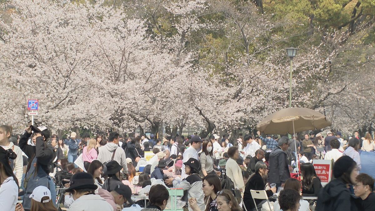 名古屋で桜満開 ｢さくら名所100選｣昭和区の鶴舞公園も花見客で賑わう 物価高の波は花見にも？