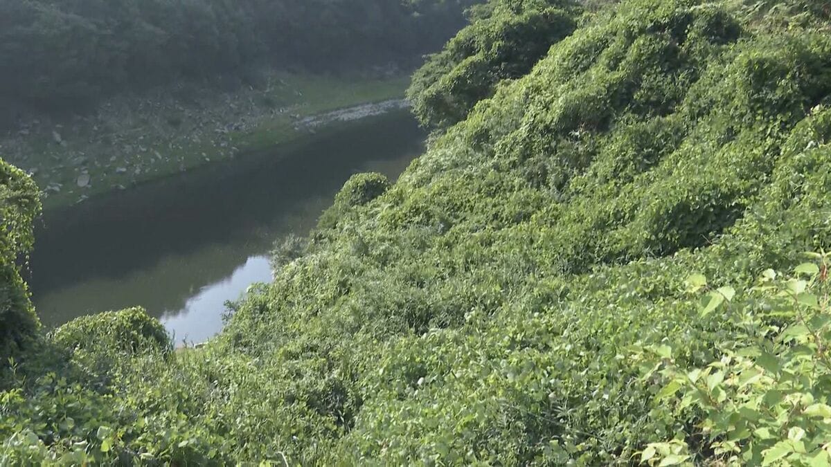 「ひとりで車で運んだ」1人の遺体を遺棄した疑いで37歳の男逮捕 川岸からビニールシートに包まれた女性2人の遺体見つかる 遺体は三重・伊賀市の女性（44）と娘（20）か