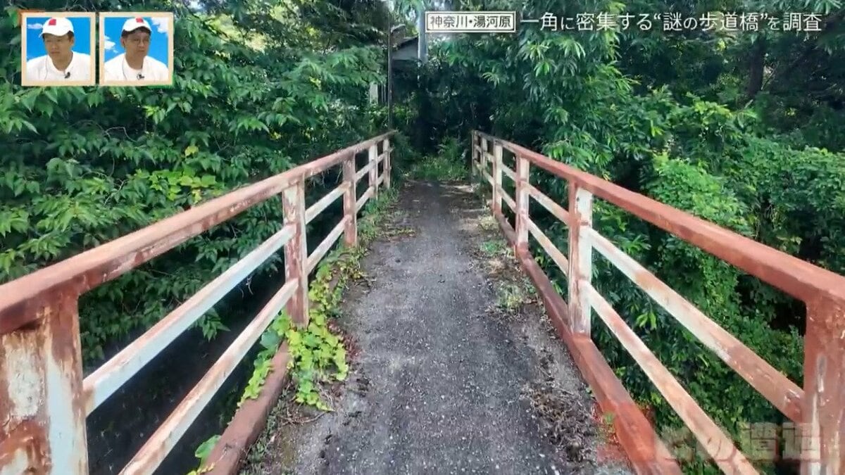 神奈川県の温泉地に潜む“謎の歩道橋” 一角に4本の歩道橋が密集するワケ【道との遭遇】