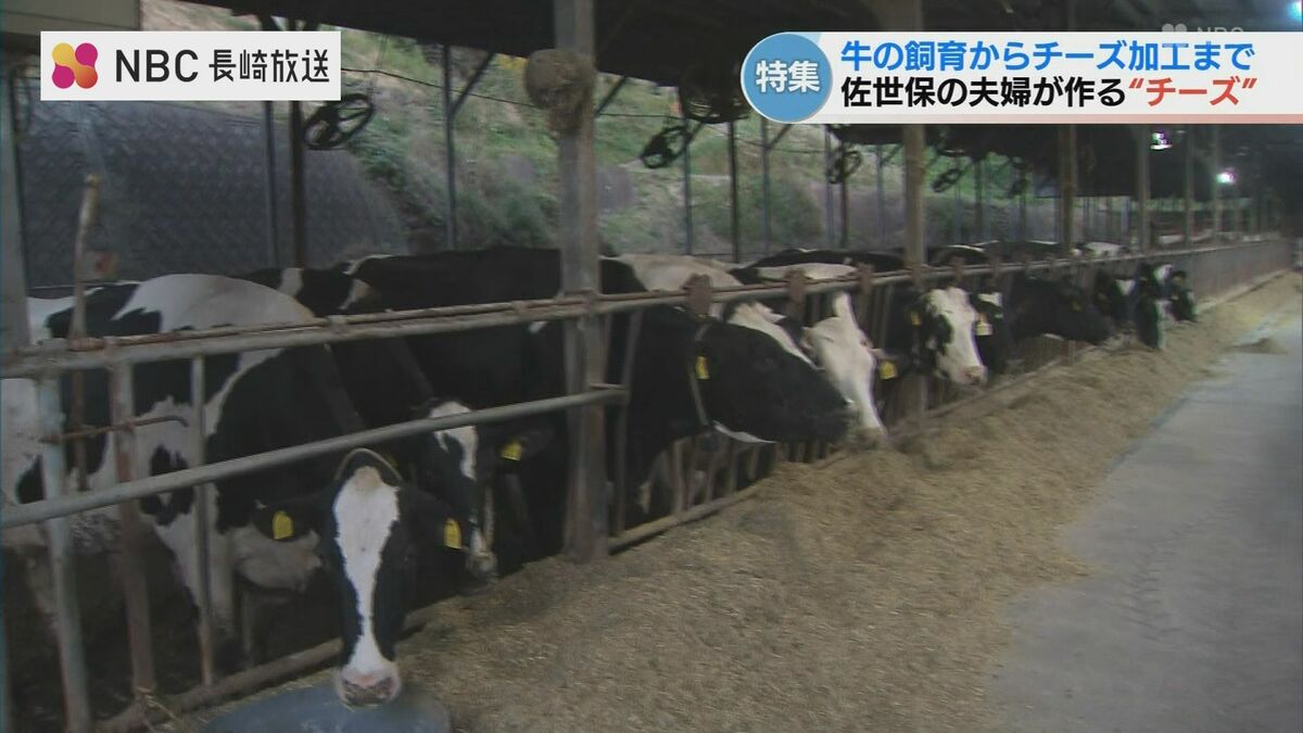 世界5000品と競演！佐世保「さとむら牧場」の酪農家夫婦が作った