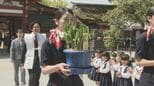 「バニラアイスみたいなにおい」初夏を告げるすずらん　北海道から太宰府天満宮に　福岡|TBS NEWS DIG