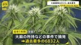 大麻めぐる摘発人数6832人で過去最多に 全体の7割以上が20代以下「SNSの普及で入手が簡単に」|TBS NEWS DIG