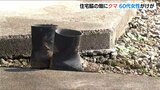 「黒い影が見え、うずくまったときに襲われた」自宅脇の畑で作業中に… クマに襲われて女性けが|TBS NEWS DIG
