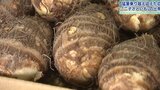 猛暑乗り越え収穫迎えた秋の味覚 岩手・北上市特産の「二子さといも」出発式|TBS NEWS DIG