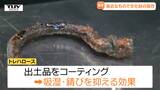 意外なもので文化財をコーティングし保存!大学の研究ノウハウを共有 世界的に注目の技法とは(山形) | 山形のニュース│TUYテレビユー山形
