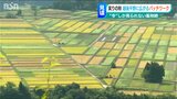 「コメがとれる場所はいいところだな」稲刈りまで“期間限定”の貴重な景色 黄金色と白の“パッチワーク”な越後の大地|TBS NEWS DIG