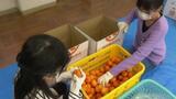 「ミカンで笑顔になって」 小学生が“真穴みかん”を福祉施設にプレゼントへ【愛媛】 | 愛媛のニュース - Nスタえひめ|あいテレビは6チャンネル