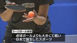 10代から80代の100人が参加　ラージボール卓球大会|TBS NEWS DIG