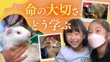 命の大切さ学ぶ教育が“命を弄ぶ”結果にならないために…学校での動物飼育、さまざまな形を模索　|　福岡のニュース｜RKB NEWS｜RKB毎日放送