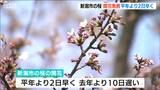 「開花が待ち遠しくて」新潟市の桜開花 平年より2日早く |TBS NEWS DIG
