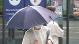甲府で8日ぶりの猛暑日 年間過去最多日数を更新 県内10地点で30度超えの真夏日 山梨|TBS NEWS DIG