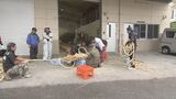 子ども綱曳「ウマチー綱小」の綱を5年ぶりに新調 与那原町|TBS NEWS DIG