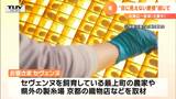 山形で復活した蚕「セヴェンヌ」物語を映画に ドキュメンタリー映画「お蚕さま セヴェンヌ」製作発表 市民プロデューサーも募る | 山形のニュース│TUYテレビユー山形