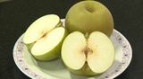 「今年は甘い」たっぷりな果汁が特徴　ナシの主力品種「幸水」が初出荷（長野・飯田市）|TBS NEWS DIG