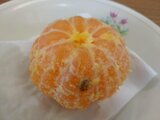 「皮をむいたら黒い部分が…」給食で腐った冷凍ミカン?デザートの楽しみが一転 富山・高岡市 | 富山のニュース|天気・防災|チューリップテレビ
