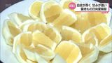 最高値は去年の倍の1箱3000円 宮崎を代表する果実「日向夏」露地もの の初競り | MRTニュース | MRT宮崎放送