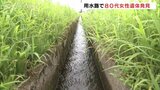 用水路に転落か 89歳女性死亡 富山・南砺市 | 富山のニュース|天気・防災|チューリップテレビ