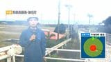 【中継】台風13号接近の沖永良部島　マンゴー農家は青い実も収穫「施設やられたら建て直す気力ない」　鹿児島|TBS NEWS DIG