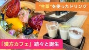 “生薬” を使ったドリンクに料理… 苦いイメージが一変！急激に高まる「漢方人気」 日常の不調を整える新習慣　心と体を癒やす漢方カフェも続々と　|　富山のニュース｜天気・防災｜チューリップテレビ