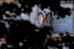 タカ派のＦＯＭＣ、インフレと不確実性が鍵－４連銀総裁が相次ぎ発言| TBS CROSS DIG with Bloomberg