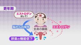 「まさか私が…」50代女性の3人に1人以上！誰にも言えない更年期障害のリアルと解決策…仕事や家事に支障きたす人も　受診のためらいに医師は？|TBS NEWS DIG