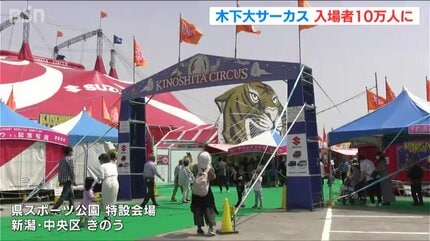 哀れな父親を助けてください…木下大サーカス新潟講演指定席 少しだけ割引 プレゼンターは2頭のゾウ」木下大サーカス新潟公演 入場者10万人に