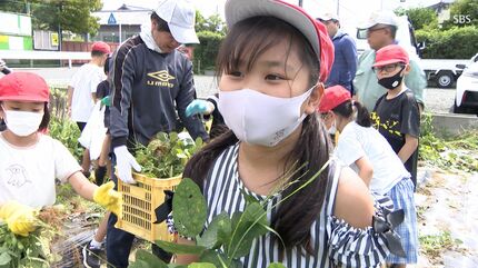 大きくておいしそう」小学生が枝豆の収穫体験 食べることと農業の大切